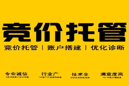 托管理念下的竞价sem：一则传统企业的数字化转型之路